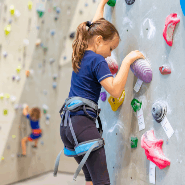 Indoor Rock Climbing Family Pass