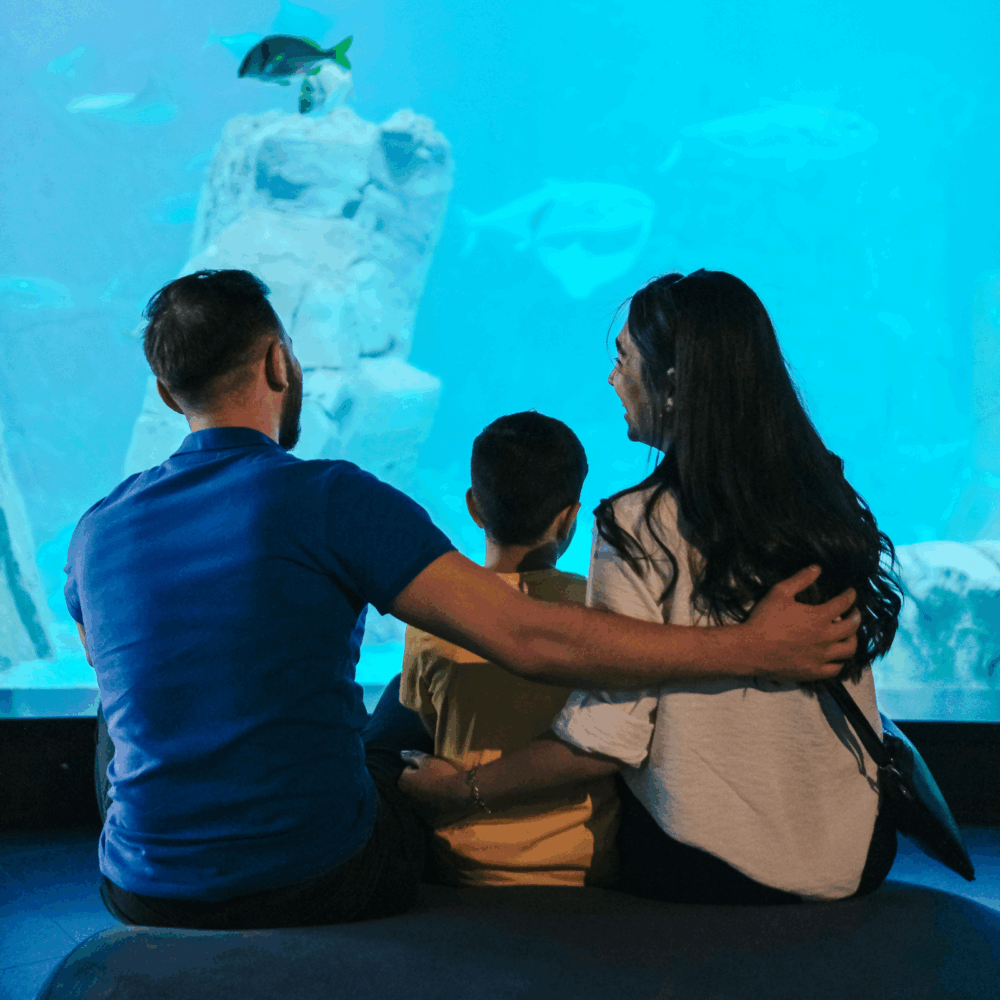 Aquarium One Day Pass