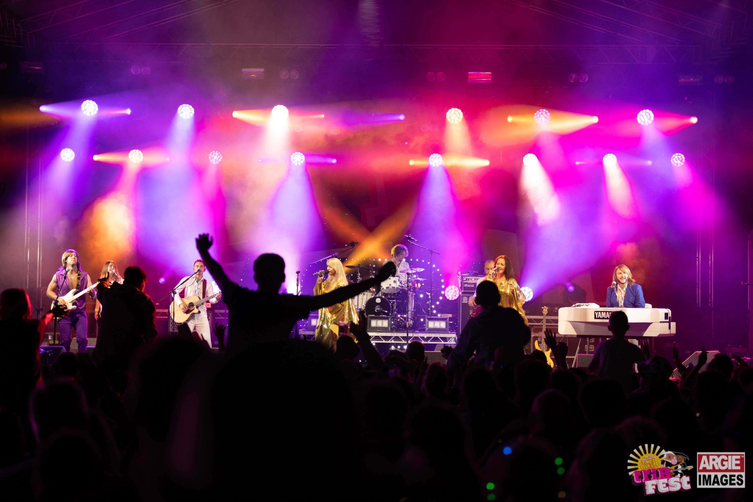 Adult Weekend Ticket to Tribfest - Image 3