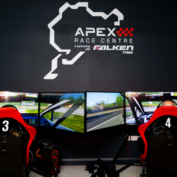 Virtual racing session - Image 2