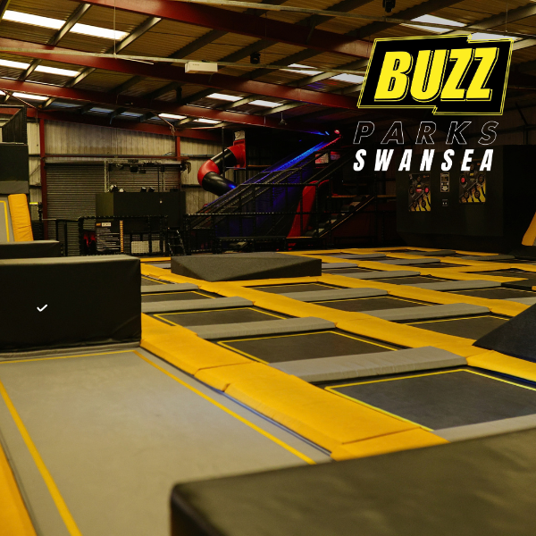 Two-Hour Trampoline Session